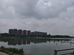 -映月湖中央公园