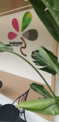 -Garden花園造型