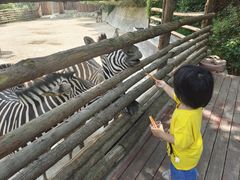 -泉州海丝野生动物世界