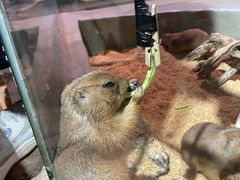-正佳雨林生态植物园