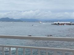 -三亚西岛海洋文化旅游区