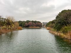 -张家港凤凰山景区河阳山歌馆