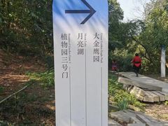 -南山植物园