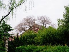 -西安青龙寺遗址景区