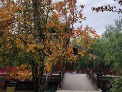 -西安市长乐公园