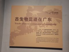 -广东省博物馆