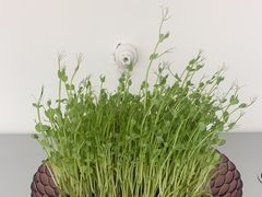 -海底捞火锅(杭州萧山宝龙广场店)