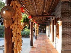 -顺德了能馆(虎门店)