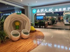 -春润大地海南椰子鸡(沙井京基百纳广场店)