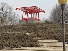 -大望京公园