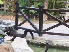 -灵玲国际马戏城