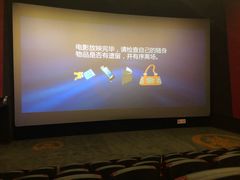 -耀莱成龙影城(金凤店)