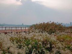 -宣城市博物馆