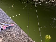 -DGE季风钓虾营地·团建·聚会