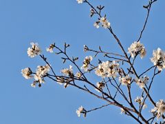 -南阳卧龙岗武侯祠
