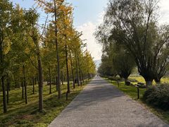 -汉长安城未央宫国家考古遗址公园