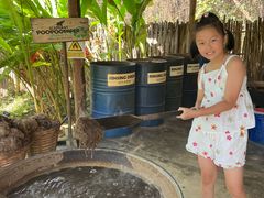 -大象粑粑造纸公园