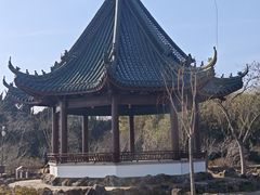 -无锡蠡湖国家湿地公园-蠡园