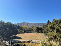 -北京植物园南门售票处