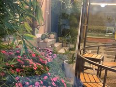 -蘑统田下·野生菌火锅