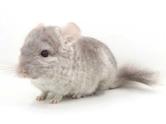 -龙猫仔乐园(惠福东路店)