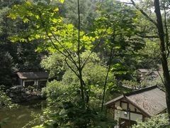 -南山植物园