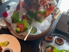 -花潮料理艺食馆(SM新生活广场店)