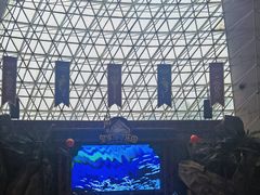 -皇家海洋乐园