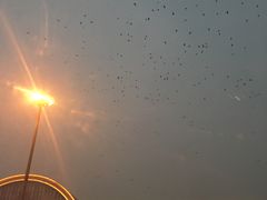 -沈阳站