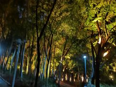 -福神岗公园