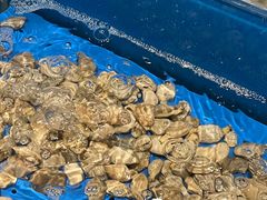 -“香”全日餐厅·株洲大汉希尔顿酒店