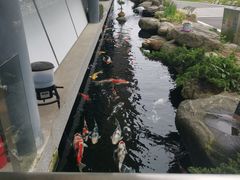 -贵阳高新惠诚食品有限公司