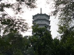 -深圳国际园林花卉博览园