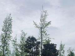 -碧峰峡风景区