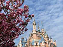 -上海迪士尼度假区