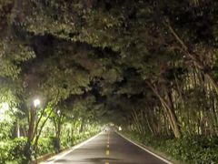 -南京东郊国宾馆