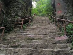 -天女山森林公园