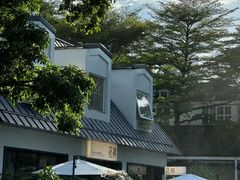 -花神·轻食简餐·咖啡馆·花卉绿植(荷兰花卉小镇店)