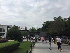 -中山市树木园