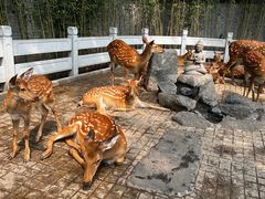 -北京野生动物园