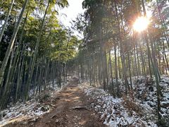 -莫干山风景区