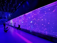 -南京金牛湖风景区