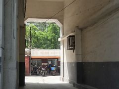 -维尔纳斯·生日蛋糕动物奶油冰淇淋蛋糕(人大店)