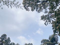 -昆明市金殿名胜区