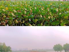 -济南大明湖景区