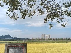 -光明小镇欢乐田园