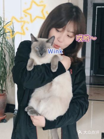 隆重介绍一下我们大go