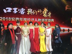 -安徽广播电视台