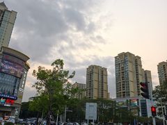 -中山市树木园