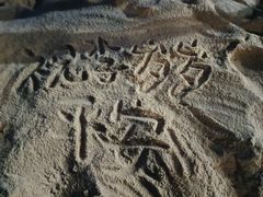 -大梅沙海滨公园-停车场